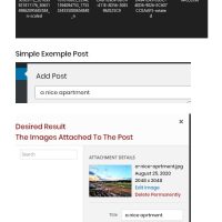 Navigating Online Shopping: The Importance of Reviews and Accurate Product Descriptions